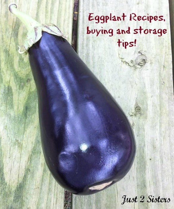 Get ready for gardening season. Eggplant Recipes, buying and storage tips! 
