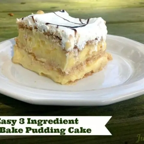 Easy 3 Ingredient No Bake Pudding Cake!