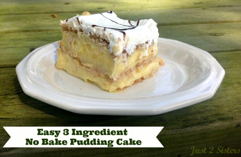 Easy 3 Ingredient No Bake Pudding Cake!