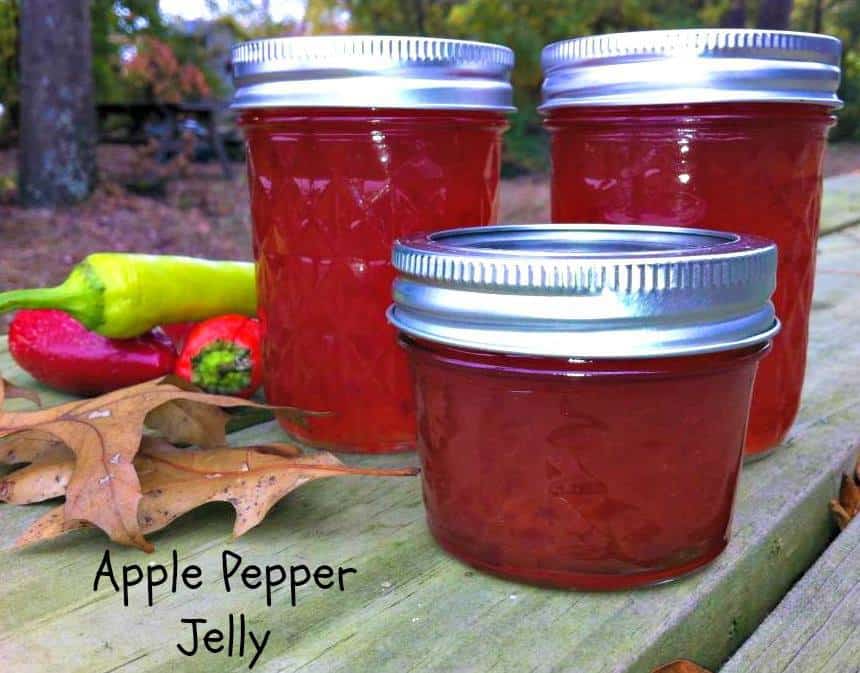 Apple Pepper Jelly Recipe