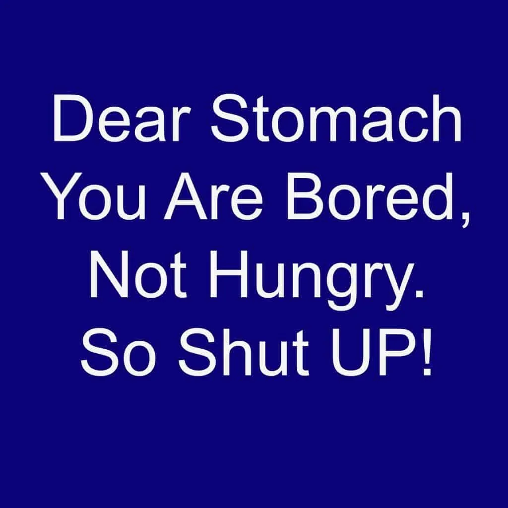 Dear Stomach You Are Bored no Hungry So shut up weight loss motivation quotes