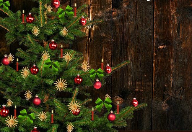 HOW TO KEEP A REAL CHRISTMAS TREE ALIVE LONGER - Midlife Healthy Living