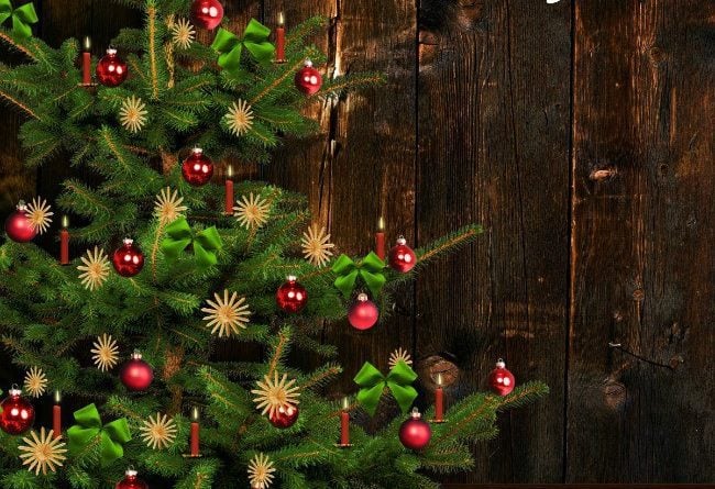 how to keep a real christmas tree alive longer midlife how to keep a real christmas tree alive longer midlife