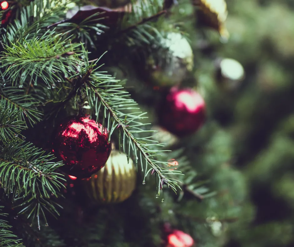 How to keep a real Christmas tree alive longer