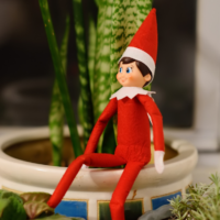 elf on the shelf in the plants