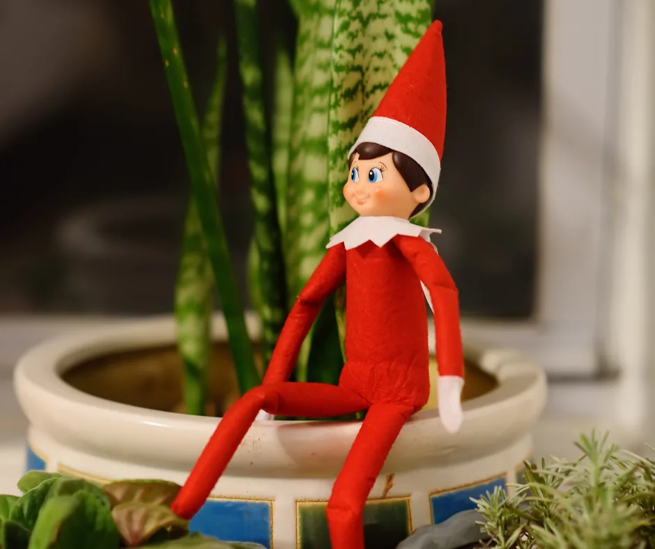 elf on the shelf in the plants