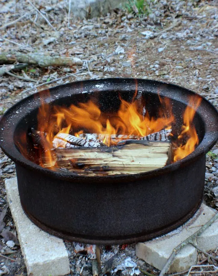 Blackberry Campfire Cobbler Fire Pit
