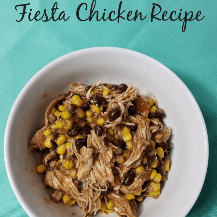Weight Watchers Fiesta Chicken Recipe-image