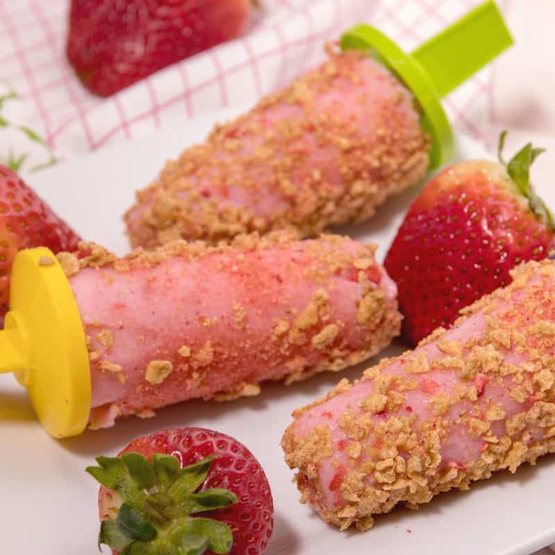 Have you ever wanted to make your own homemade popsicles? My family always loves when I do! These Weight Watchers Berry Popsicles are simple to make and could be made with an array of variety by using different berries. There is only 3 Weight Watchers Freestyle Smart Points in each popsicle!