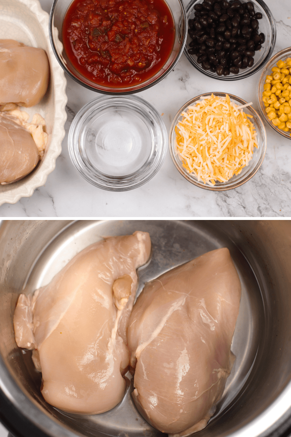 WW Fiesta Chicken Ingredients for the recipe