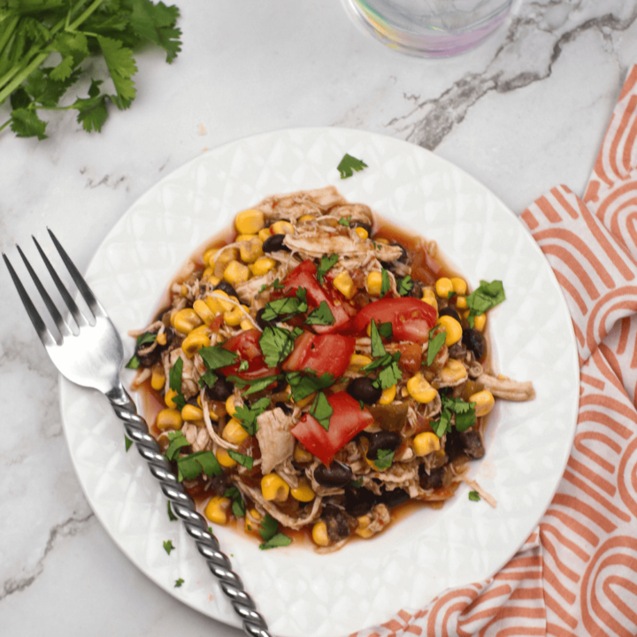 WW Fiesta Chicken Recipe