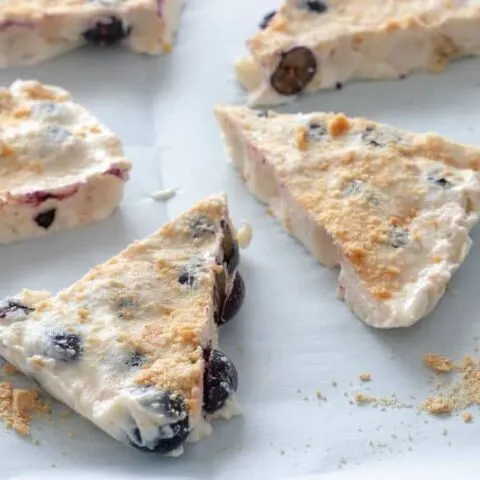 Weight Watchers Blueberry Frozen Yogurt Bark Recipe