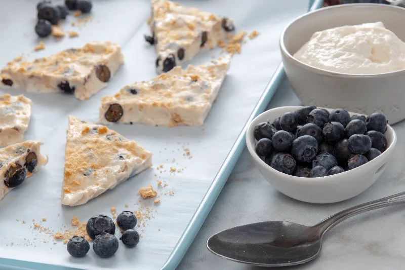 Weight Watchers Blueberry Frozen Yogurt Bark Recipe