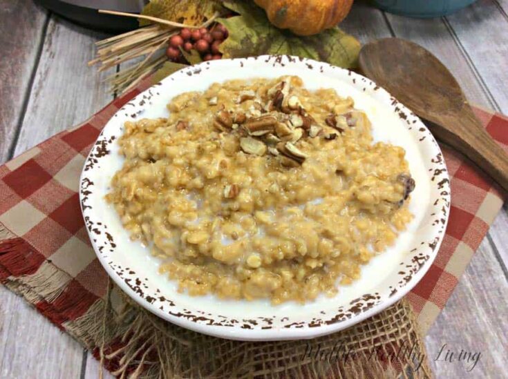When Fall rolls around we all want something warm and hearty for breakfast, right? These Instant Pot pumpkin maple pecan steel cut oats hit the spot. They're sweet, healthy, and packed with great ingredients to keep you full and satisfied all morning long.