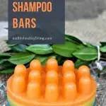 Homemade shampoo bars are great for your hair, easy to make, and better for the environment! Give these easy DIY shampoo bars a try and see what you think!