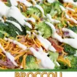 Pinterest image for weight watchers broccoli salad