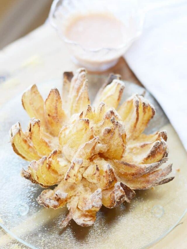 Air Fryer Blooming Onion Story
