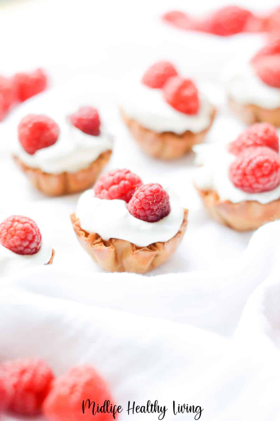 A top down view of the finished lemon cheesecake bites with raspberries. 