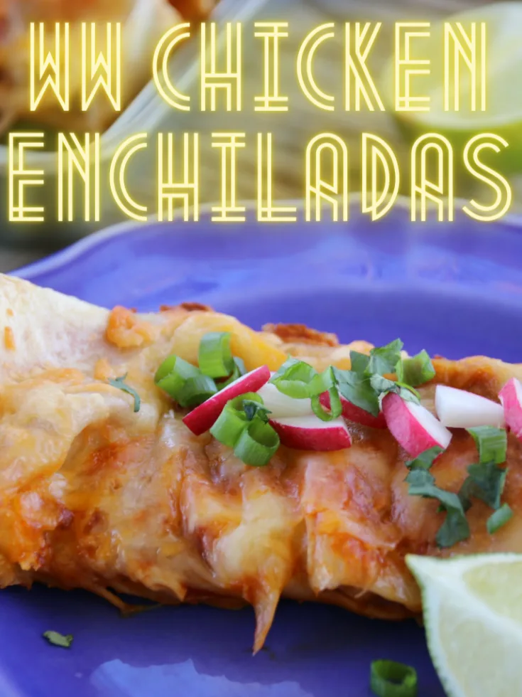Weight Watchers En Enchiladas Recipe