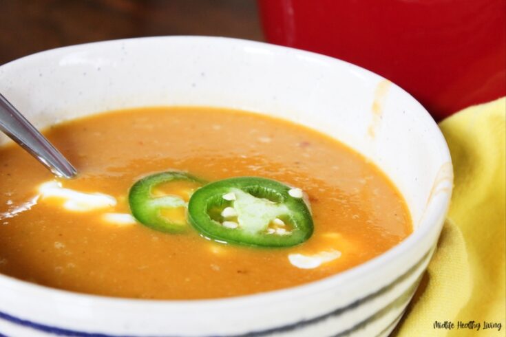 Weight Watchers Pumpkin Soup Recipe