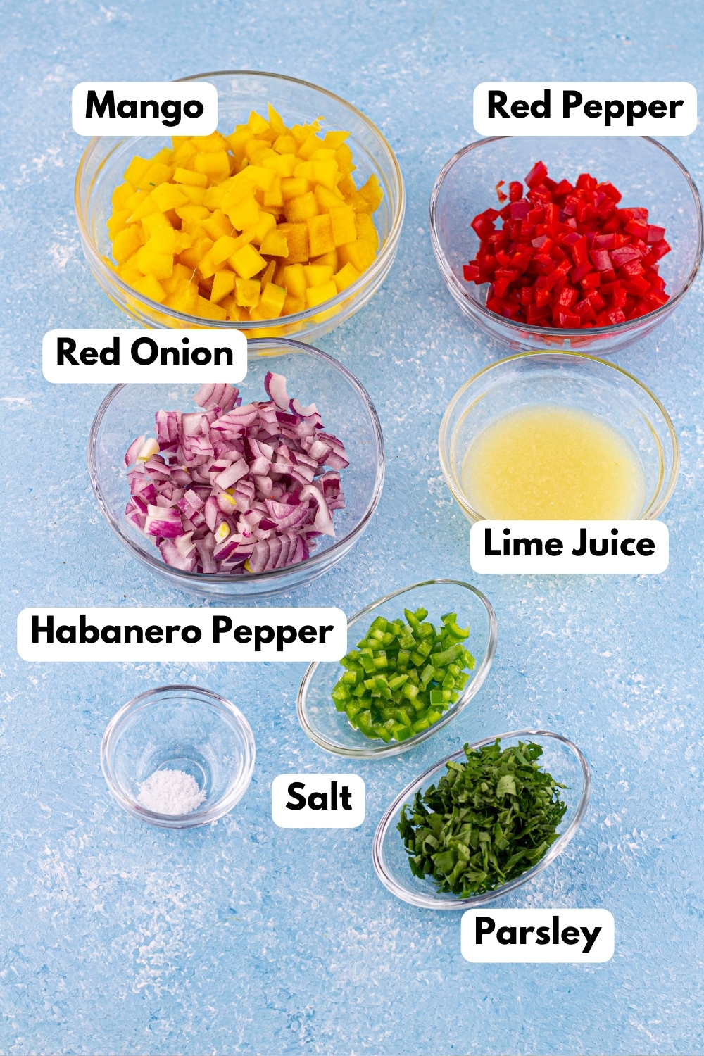 Mango Habanero Salsa ingredients