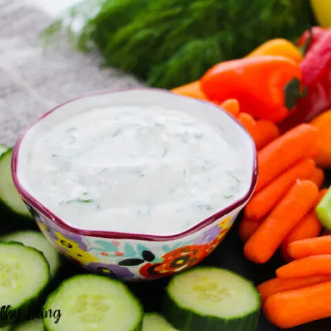 A bowl full of the finished dill dip for weight watchers.