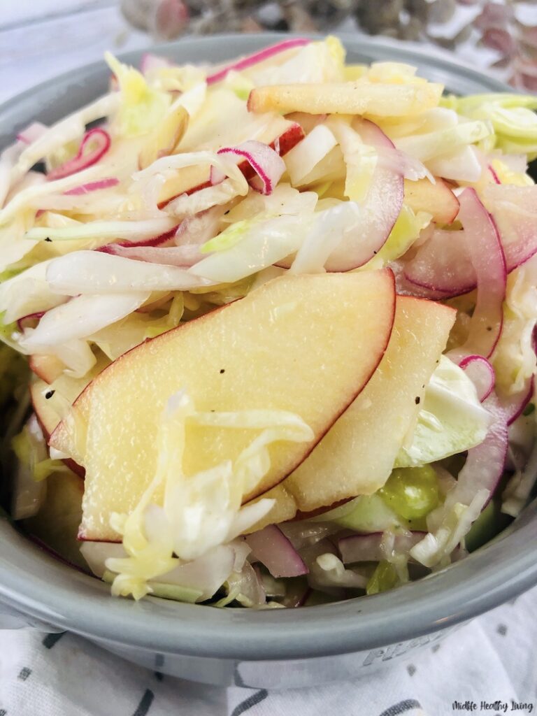 Weight Watchers Coleslaw Recipe No Mayo