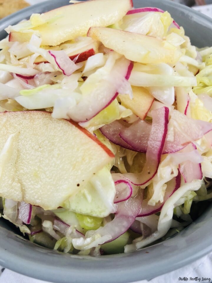 Weight Watchers Coleslaw Recipe No Mayo
