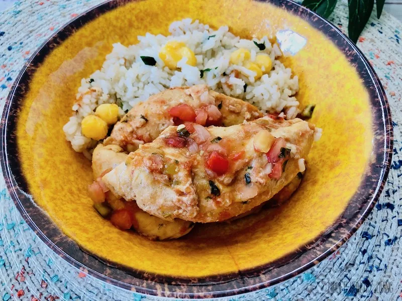 A view of the finished salsa chicken for Weight Watchers ready to eat. 