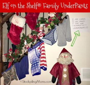 32 Elf on the Shelf Ideas for Adults