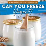 Pin showing the title Can You Freeze Yogurt
