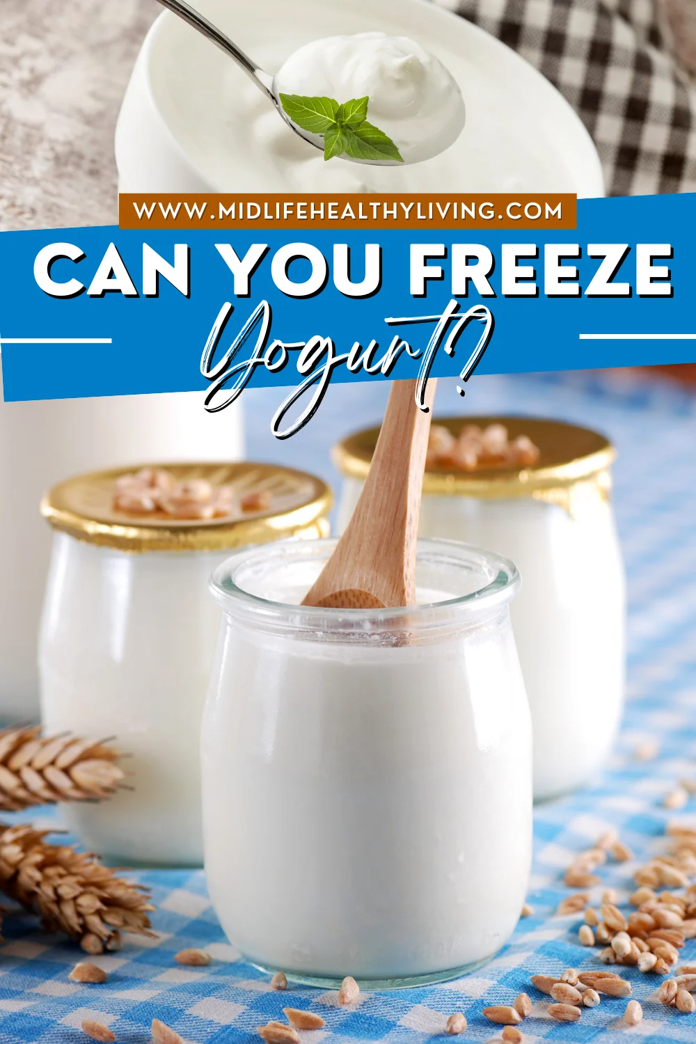 Pin showing the title Can You Freeze Yogurt