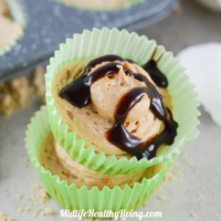 Powdered Peanut Butter Recipes Featured Image
