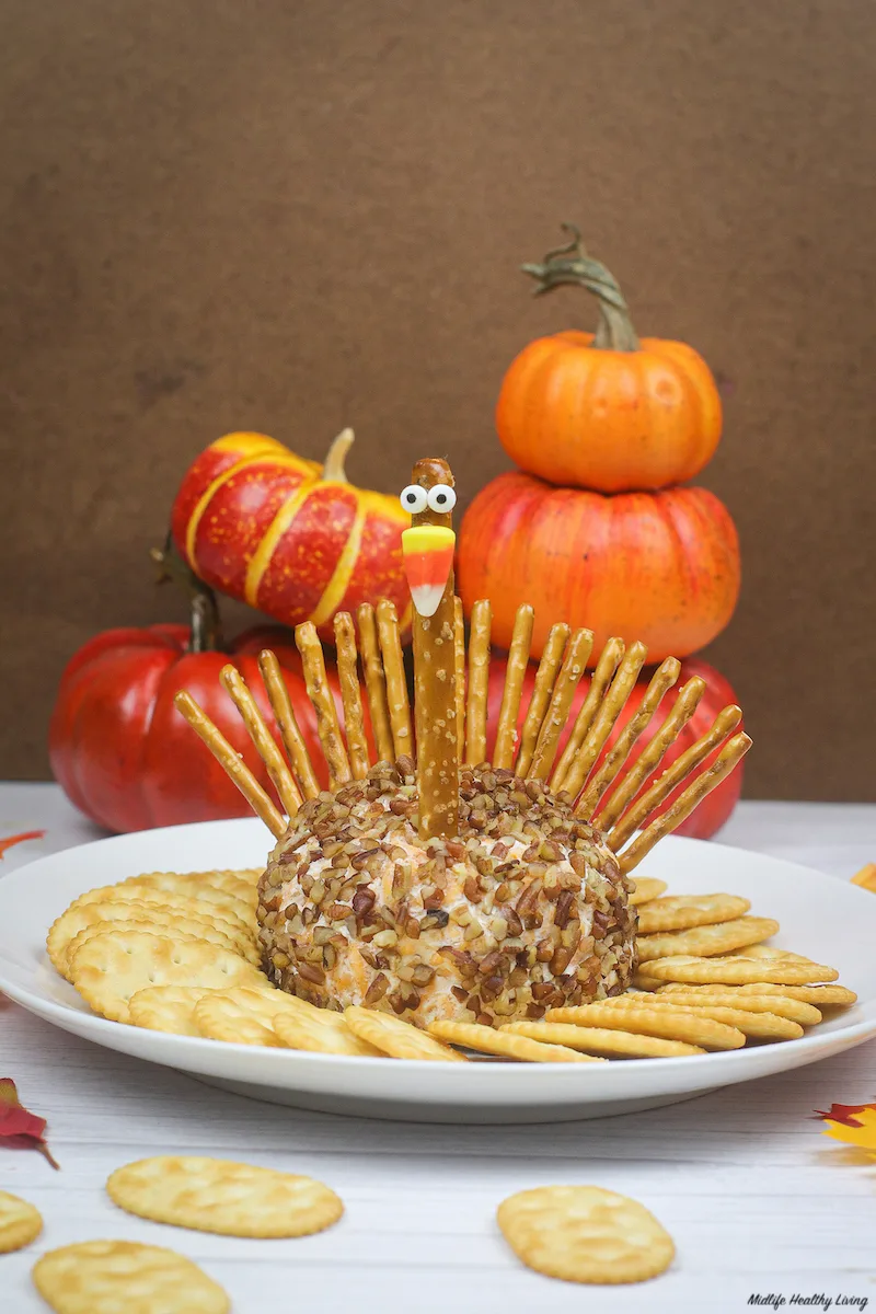 Finished thanksgiving cheese ball. 