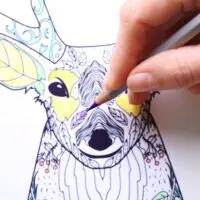Someone coloring in a picture of a deer