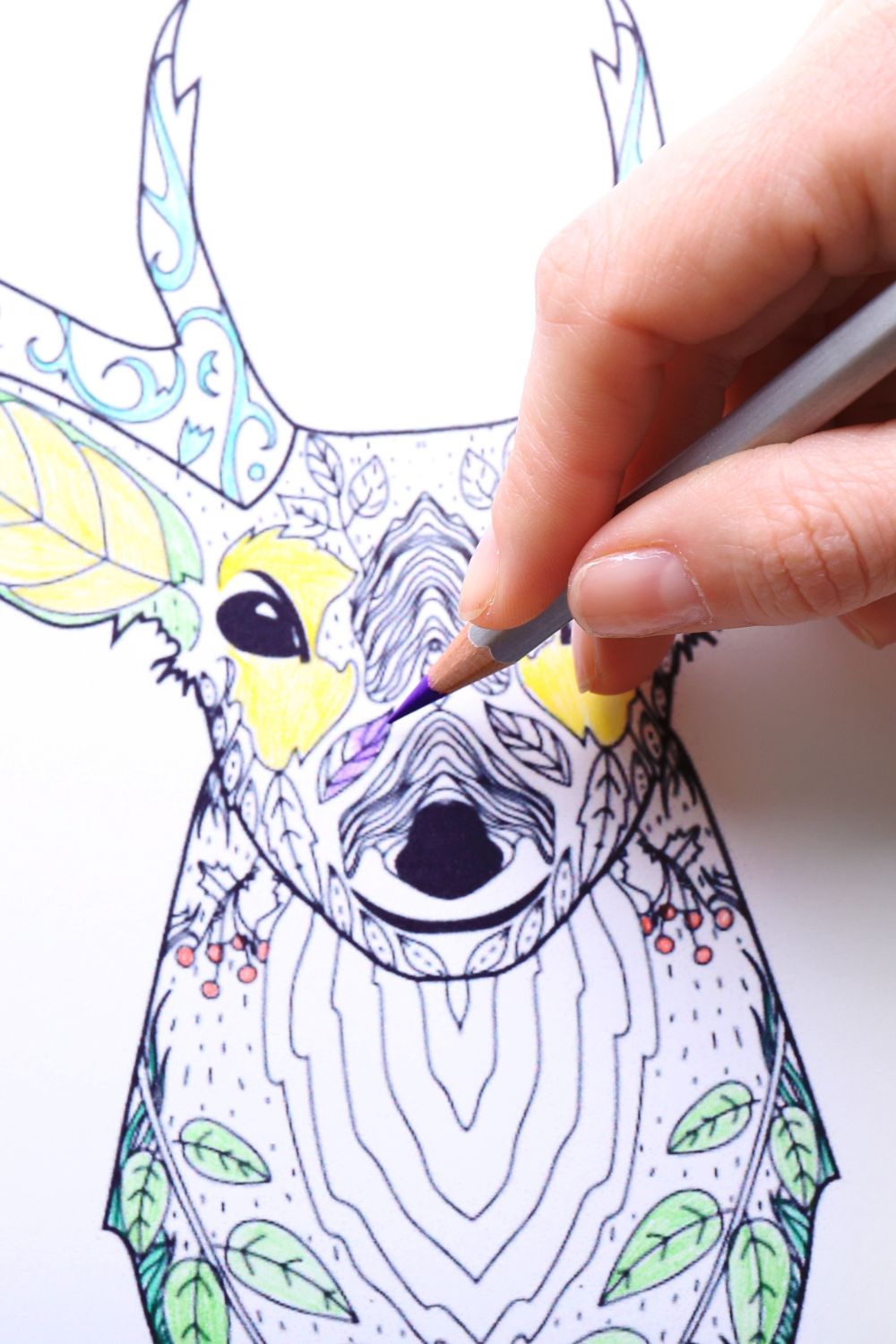 Someone coloring in a picture of a deer