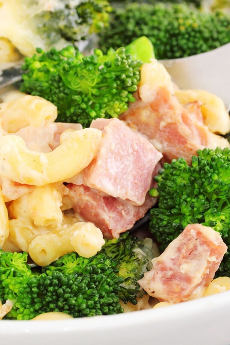 Weight Watchers Leftover Ham Recipes