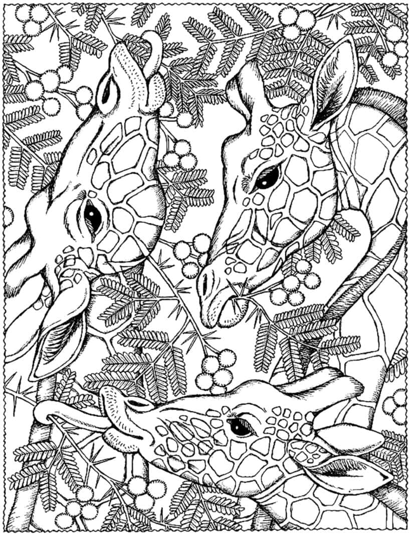 21 Cool Adult Coloring Pages