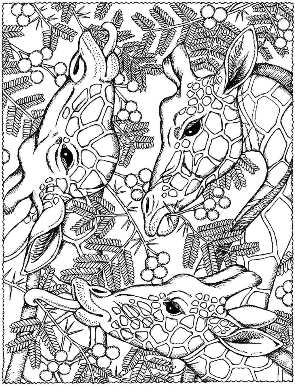 21 Cool Adult Coloring Pages