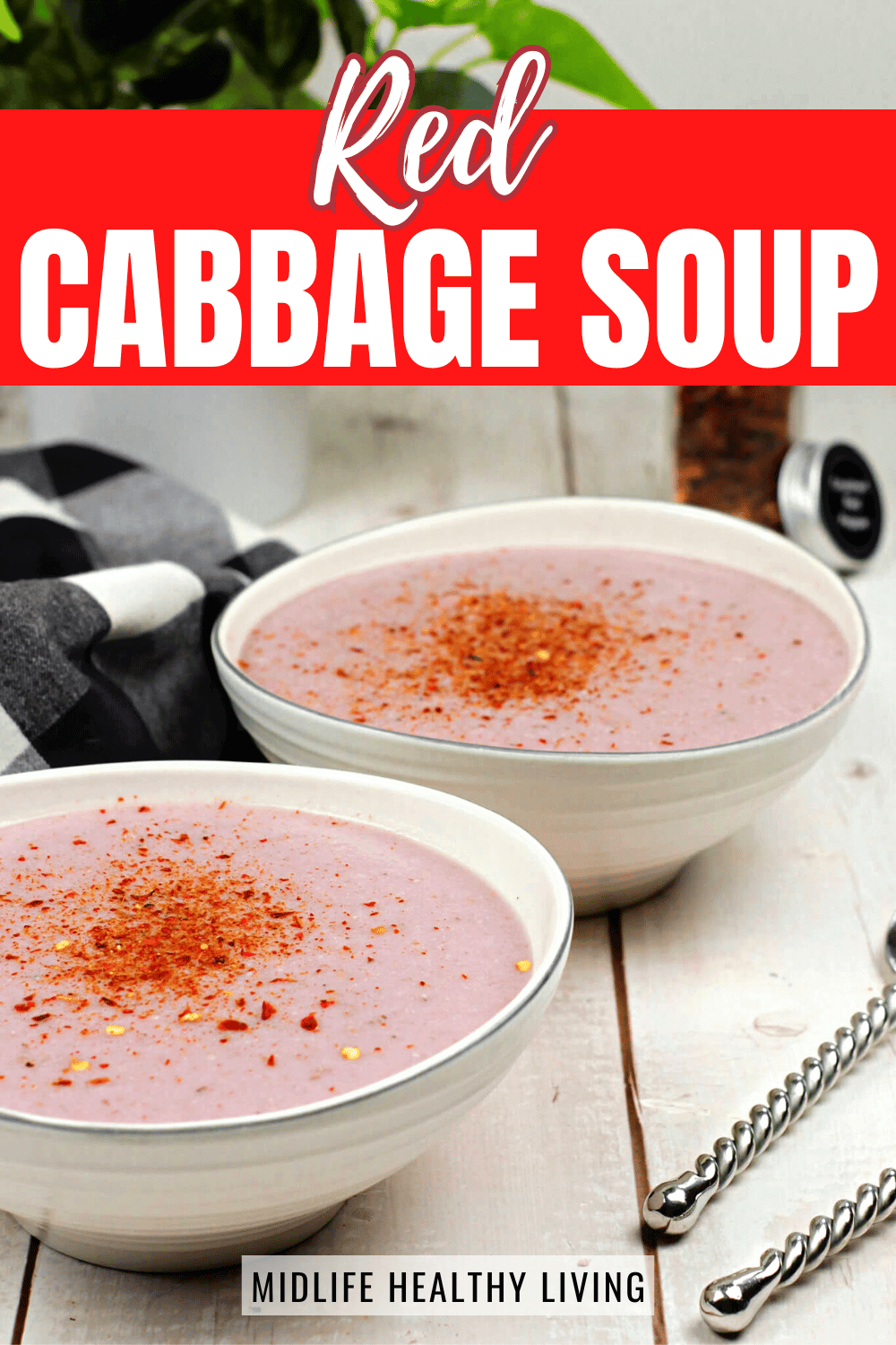 simple red cabbage soup recipe for diet