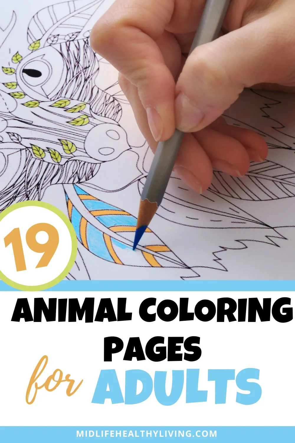 Pinterest image of someone coloring a picture of a fox. It says 19 Animal Coloring Pages for Adults