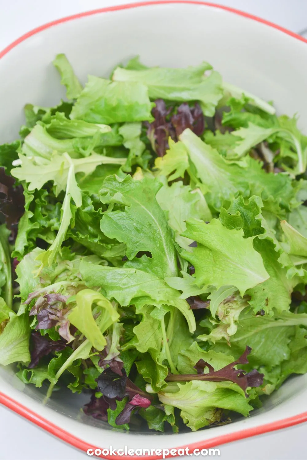 leafy greens in a salad bowl