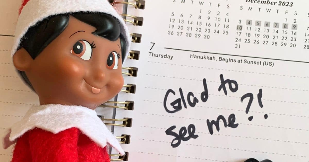 Elf On The Shelf Rules For Adults