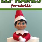 Pinterest image for Funny Elf Names for Adults