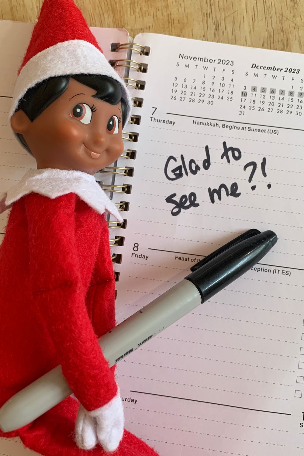 Elf on the Shelf Rules for Adults