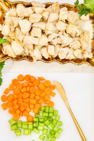 chopping the ingredients for the soup