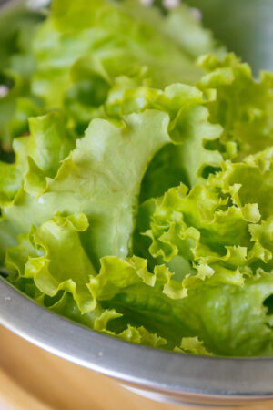 up close photo of lettuce leaves